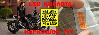 ГАЛЛЮЦИНОГЕННЫЕ ГРИБЫ Пенза