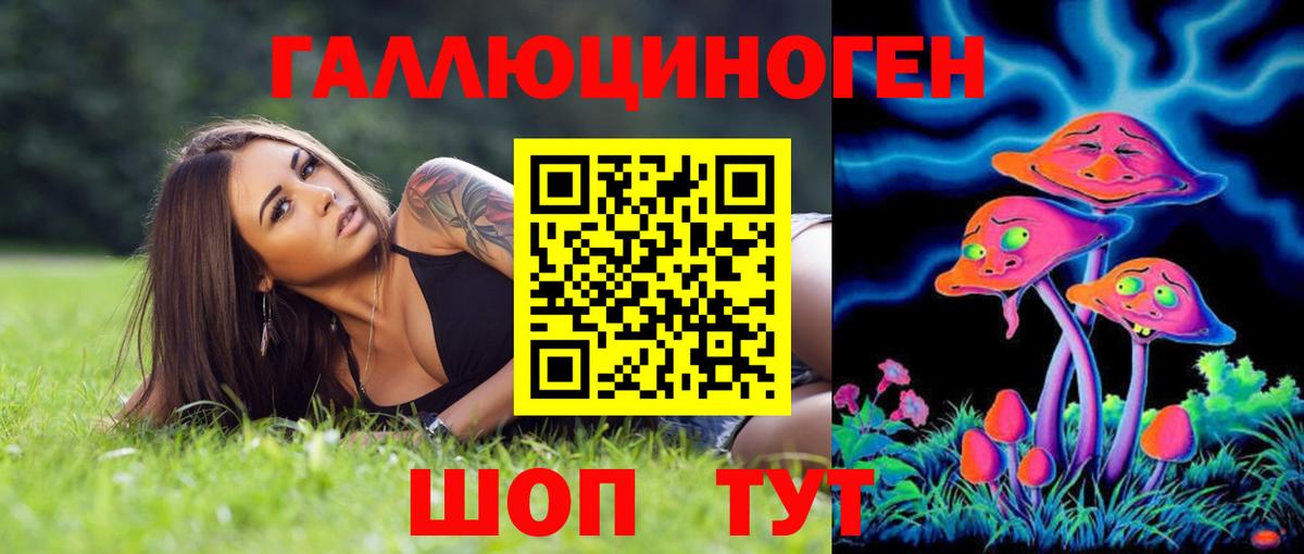 где найти наркотики  Псилоцибиновые грибы GOLDEN TEACHER  Псилоцибиновые грибы прущие грибы  Вход с VPN  Курск 