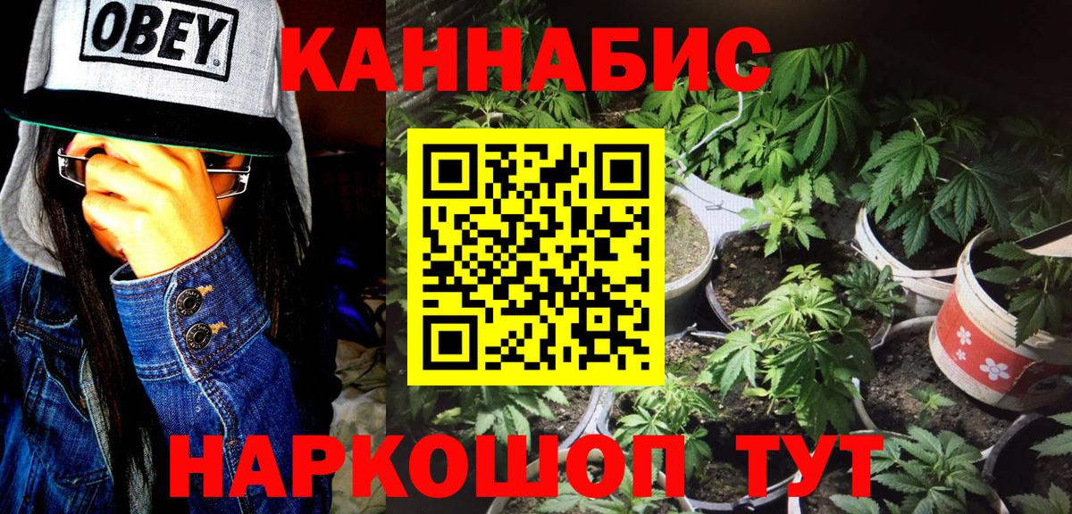 Марихуана план Курск